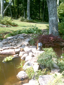 Art in Bloom Gardens