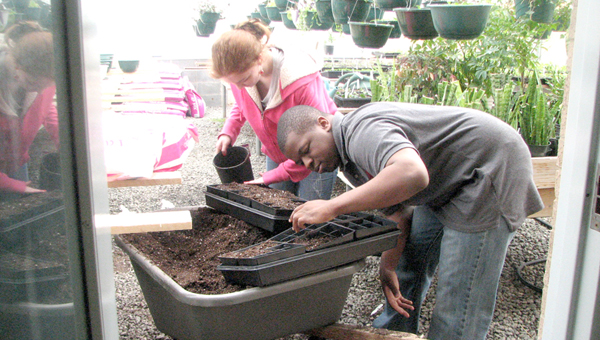 PCHS Greenhouse 3-2012 004
