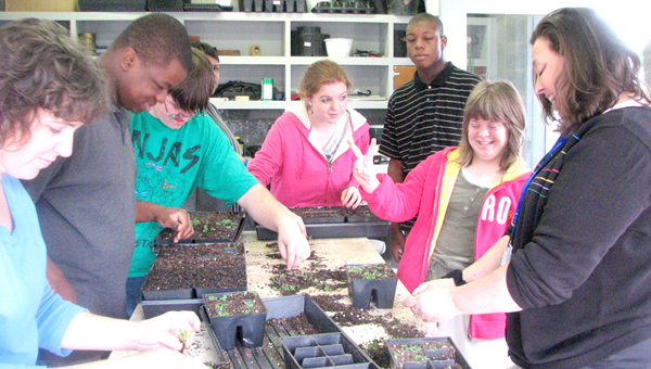 PCHS Greenhouse 3-2012 027