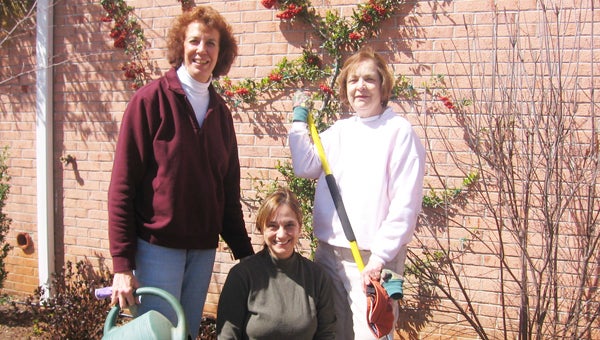 The display garden at the cooperative extension service building in downtown Columbus was cleaned up recently by Foothills Association of Master Gardener members (left to right) Barbara Clegg, Catherine Macauley and Patsy Ryan.  After pruning and transplanting was completed, mulch – donated by Clement Landscaping and Tryon Mountain Hardware – was spread to help conserve moisture and prevent weeds. (photo submitted by Barbara Clegg)