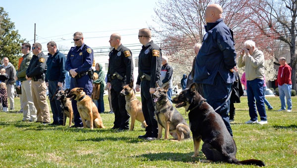 K9 service dogs came from all over to attend Trixie’s memorial service. (photo by Leah Justice)