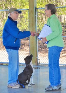 Goodie, a special needs shelter dog. Goodie recently graduated from Canine Good Citizen’s class, which was partially funded through the Sacha Fund. Since graduation, Goodie has been adopted. (photos submitted)