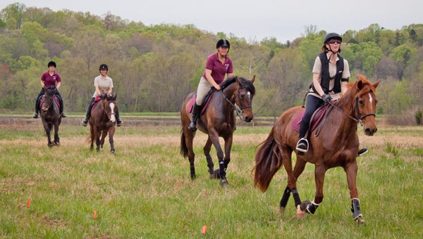 Tryon Hounds ride in a recent hunter pace. (photo by Don West.)