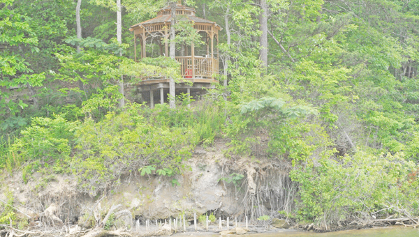 This picture was taken during a Lake Adger boat tour last year and shows a bank with erosion damage and a downed tree. (photo by Leah Justice)