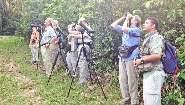 Birding in the forest. (photo by Simon Thompson)