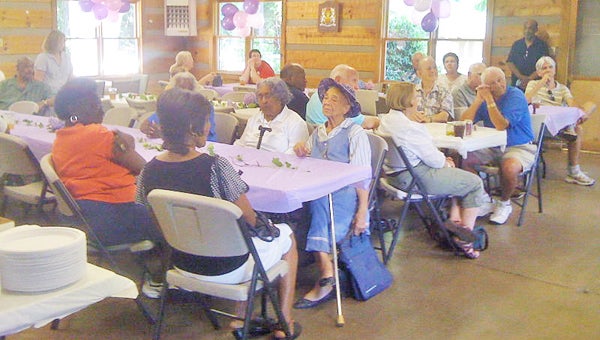 Attendees at last year’s Friendship Council picnic, enjoyed the event held within the Harmon Field Cabin.  (photo submitted)