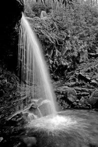 Right: Grotto Falls in black and white. (photo by Chuck Bishop)