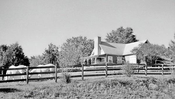 Lafayette Farm, former homestead of Marcus Lafayette Davis. (photo submitted)