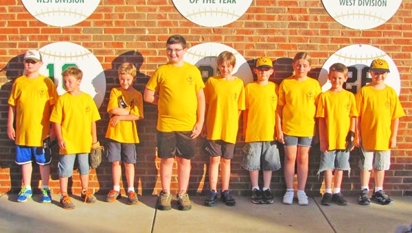 The Columbus Lions Club recently sponsored T-shirts and a night out at a Forest City Owls baseball game for Cub Scout Pack 151.  The scouts enjoyed joining the players on the field for the National Anthem, participating in contests and meeting the mascots Hoot and Annie owls. Pictured in the group at top are: Joe Jichols, Elliott Whiteside, Rueben Hinsdale, Graham Frazier, Quinton Webber, John Wright, Nicole Frantz, Mark Frantz and Ruairidh Coull. (photos submitted by Helen Trevathan)