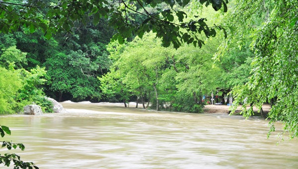 Waters near Green River Cove rose to the banks Friday, July 5. (photo by Mark Schmerling)