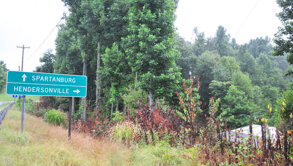 Plants along Holbert Cove Rd. in Saluda were sprayed with herbicide earlier this year. (photos by Mark Schmerling)