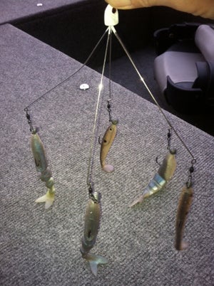 How to use umbrella rigs to bring'em in - The Tryon Daily Bulletin
