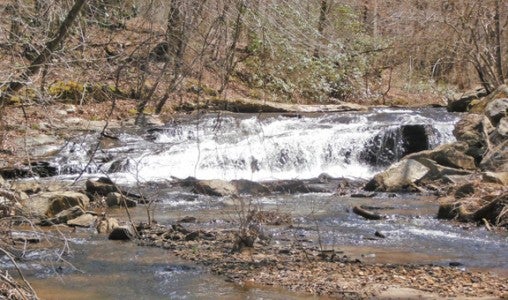 Siller’s Falls is a small cascade that can be seen from the Vaughn Creek Greenway. (photo submitted by John Vining)