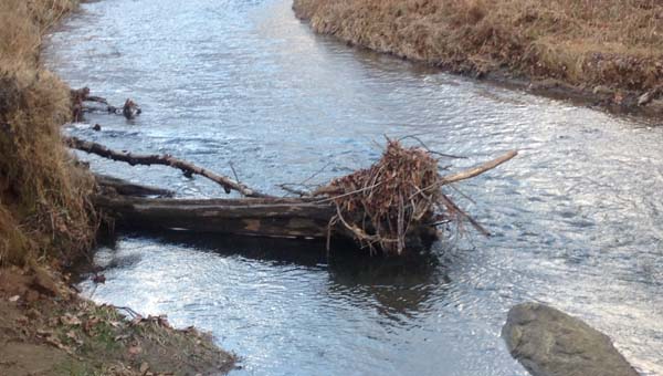 Failing stream banks are potentially hazardous for visitors and are a source of unnatural sediment volume in the river.