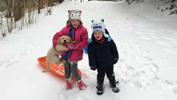 After taking 45 minutes to get everyone dressed, we headed outside with the puppy. Twenty minutes later we were ready to come in from the cold.