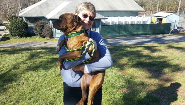 Susan Wallahora is one of the 23 volunteers participating in the weekly training sessions at the Foothills Humane Society with her designated shelter animal, Bryn.  