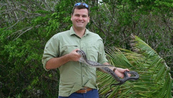 Graham Reynolds, biology faculty at UNC Asheville, discovers new species –  the Silver Boa - The Tryon Daily Bulletin