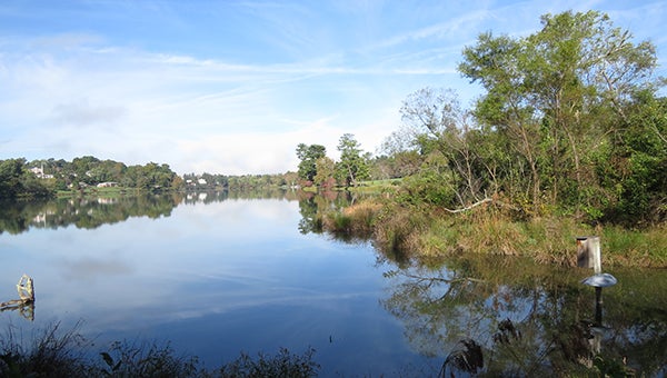 Beaver Lake Sanctuary