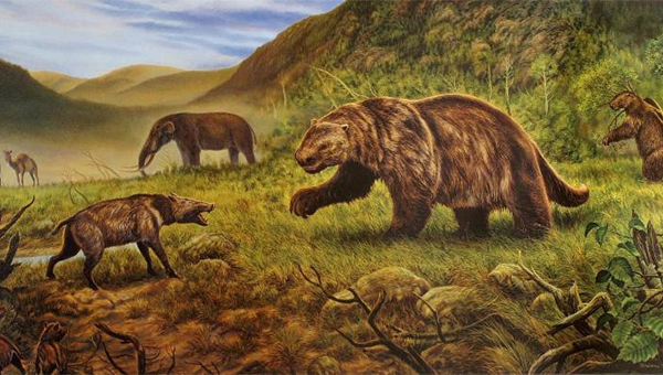 Animals and plants that were found in this region 20,000 years ago will be the topic of PAC’s next education program.