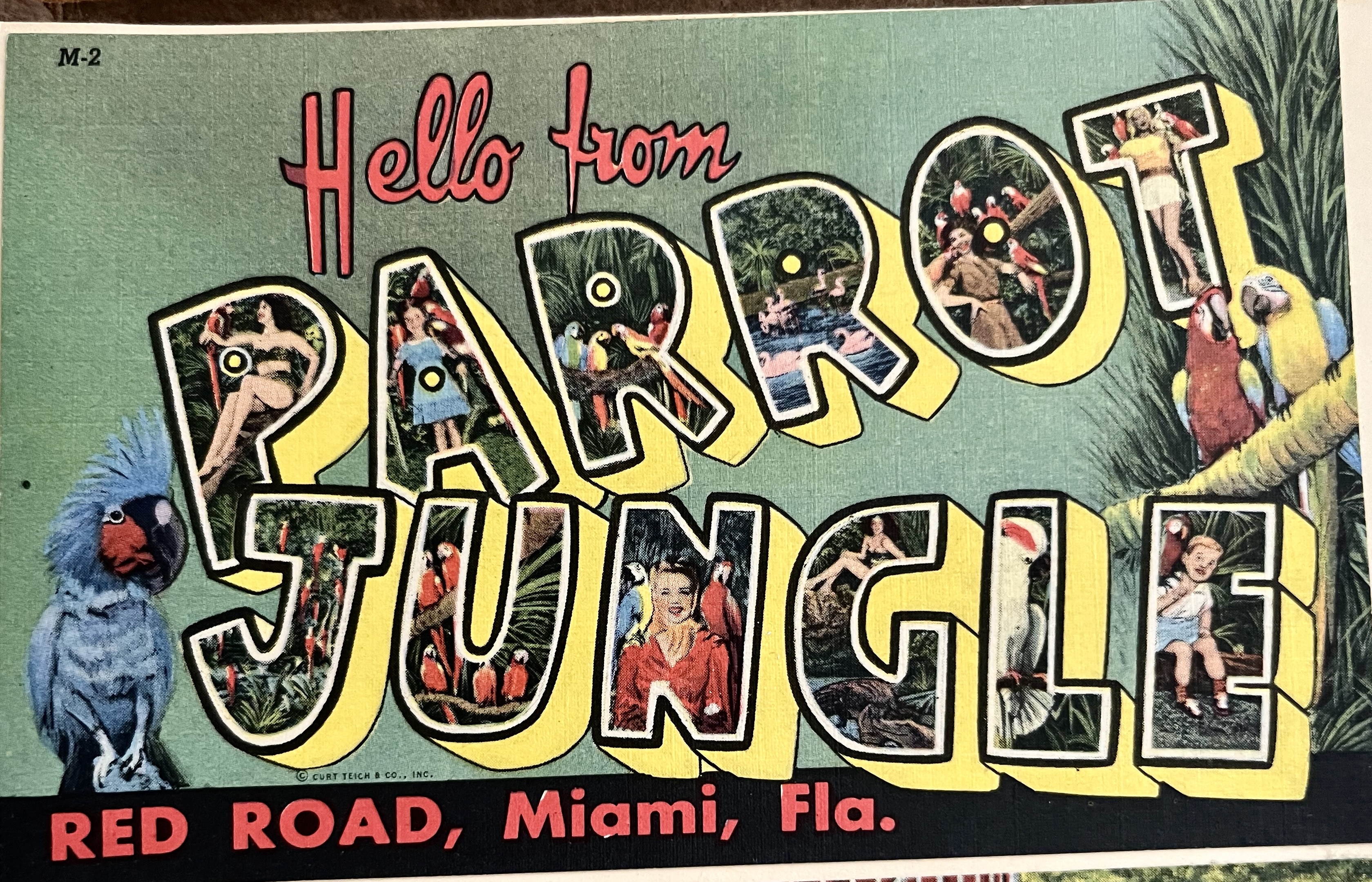 Life in our Foothills August 2023 Postcard Summers A Nostalgic Look