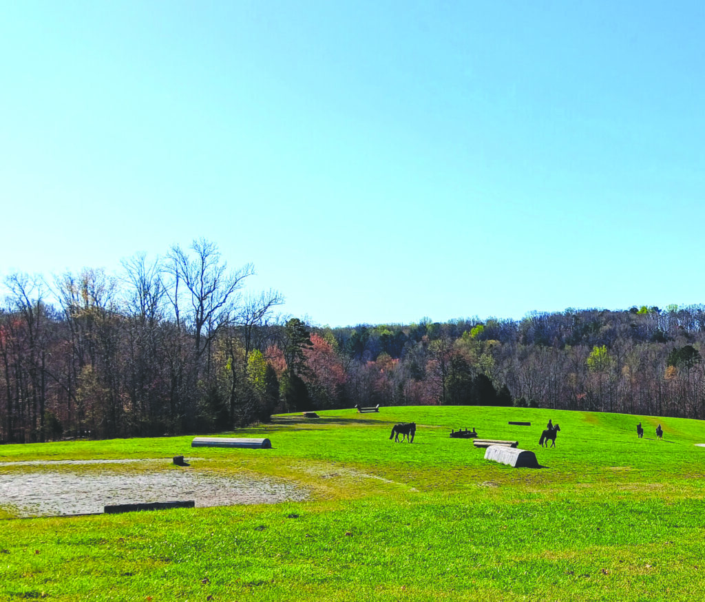 Life in Our Foothills May 2024 – Celebrating 40 Years of FENCE – The ...